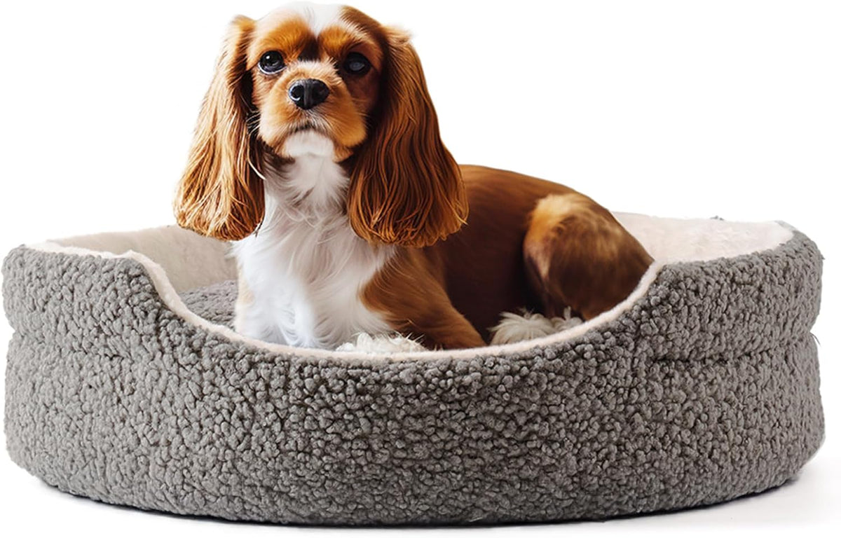 Canine Washable Pet Bed For Small Dogs & Cats - 23x23x7 Inch Orthopedic Dog